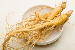Raíz do ginseng para aumentar a potencia